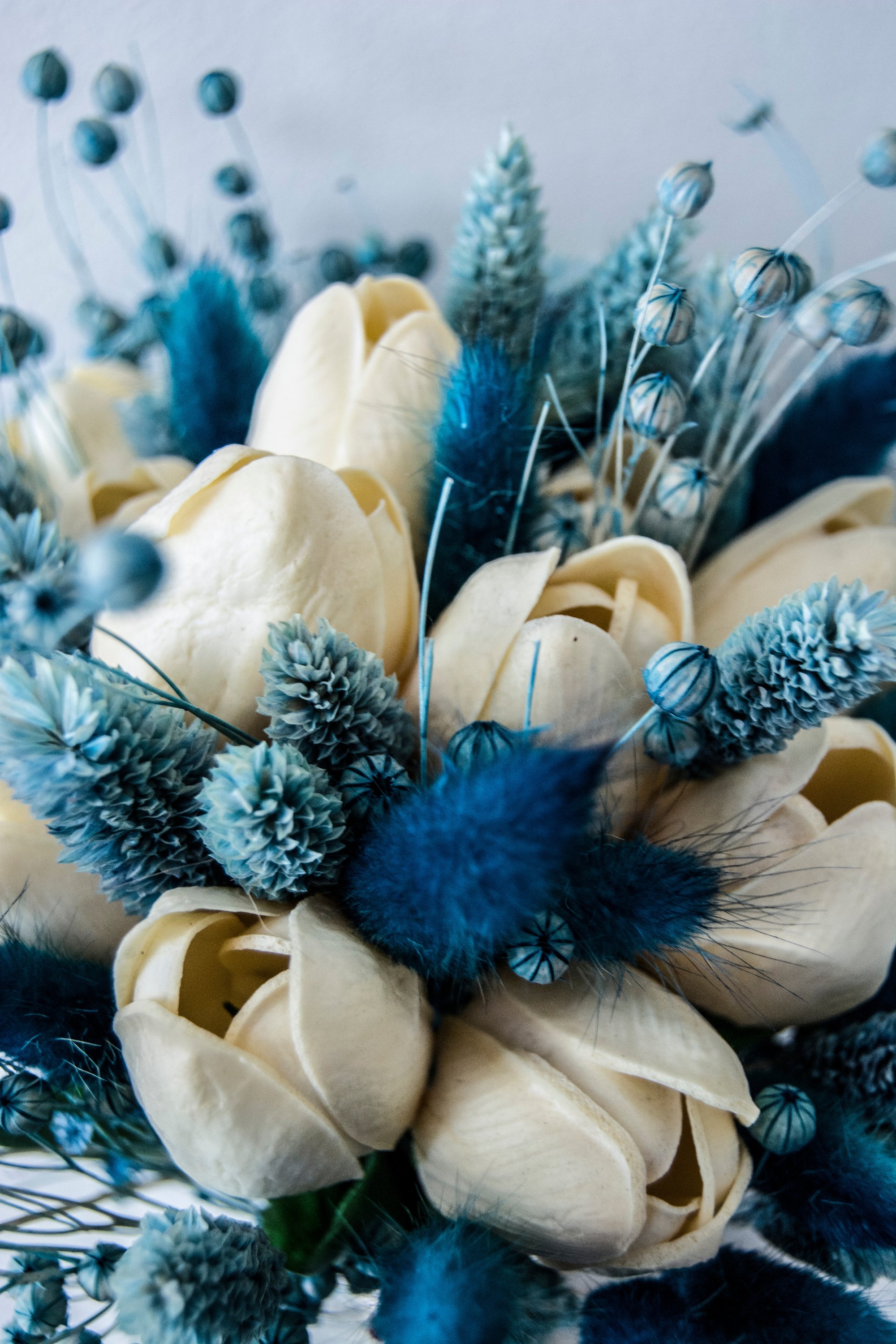 Blue and White Dried Flowers